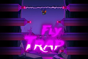 Fly Trap