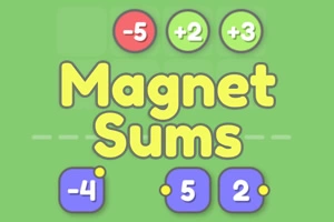 Magnet Sums