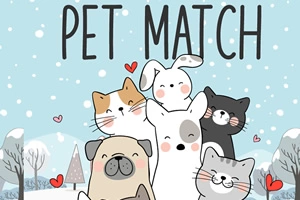 Pet Match