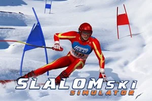 Slalom Ski Simulator