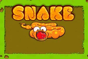 Snake Game
