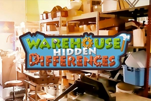 Warehouse Hidden Differences